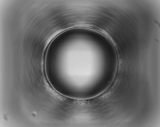 X0000100840955200806201148