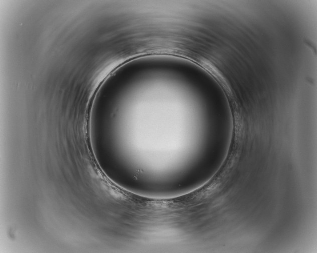 X0000100840956200806201148