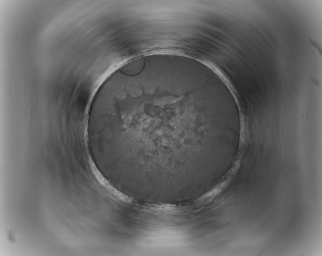 X0000100840957200806201148