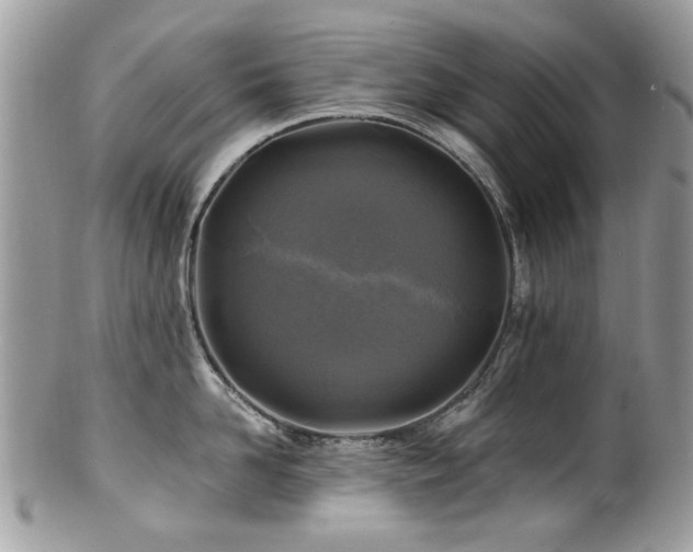 X0000100840958200806201148