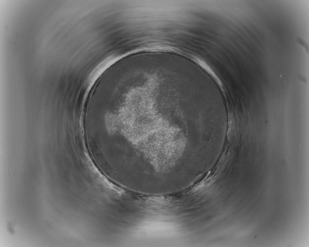 X0000100840959200806201148