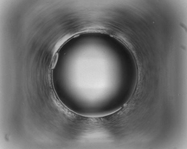 X0000100840960200806201148