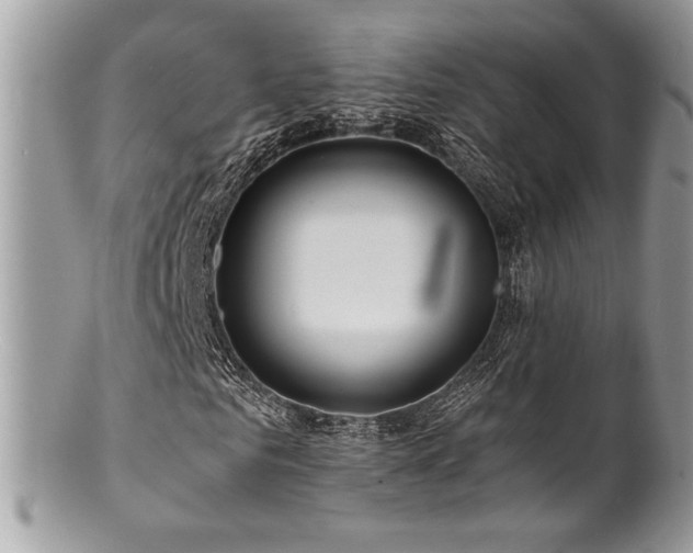 X0000100840961200806201147