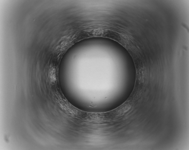 X0000100840962200806201147