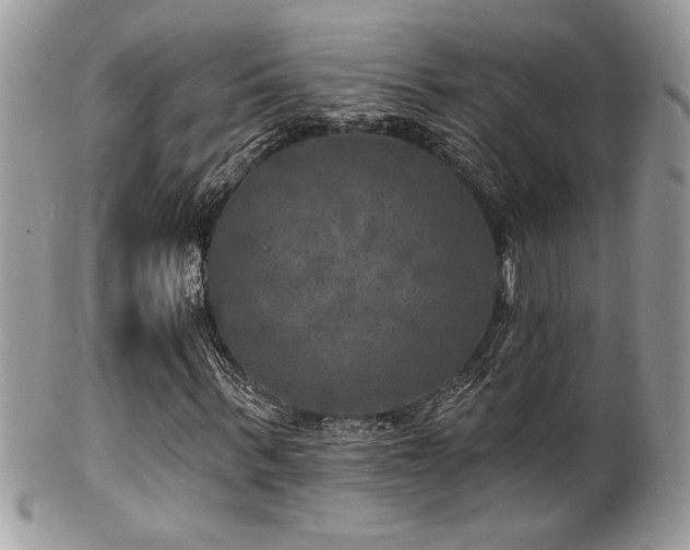 X0000100840963200806201147