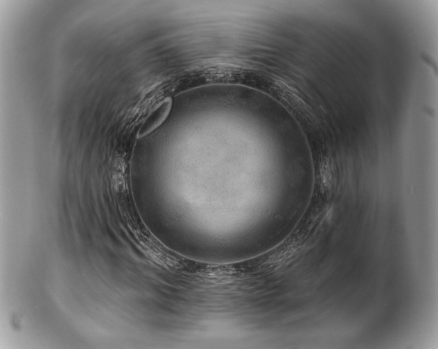 X0000100840964200806201147