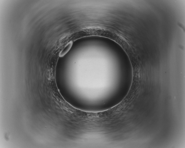 X0000100840965200806201147