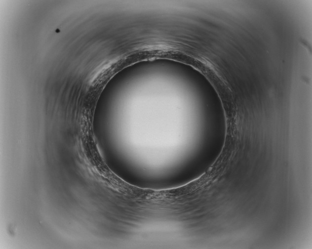 X0000100840967200806201147