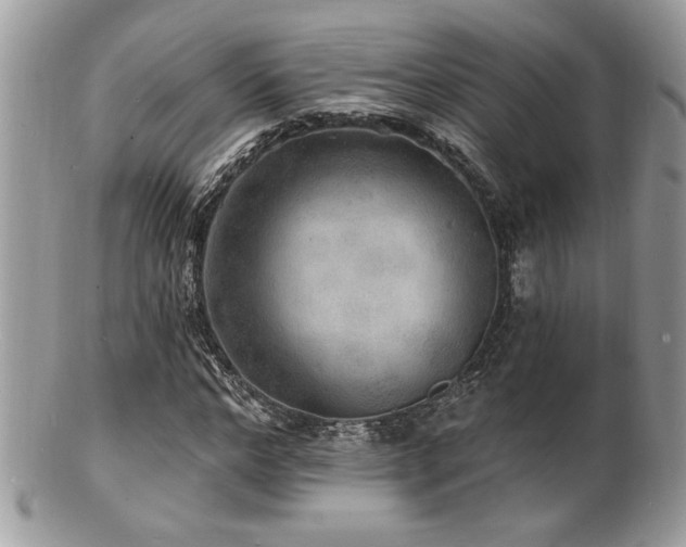 X0000100840968200806201147