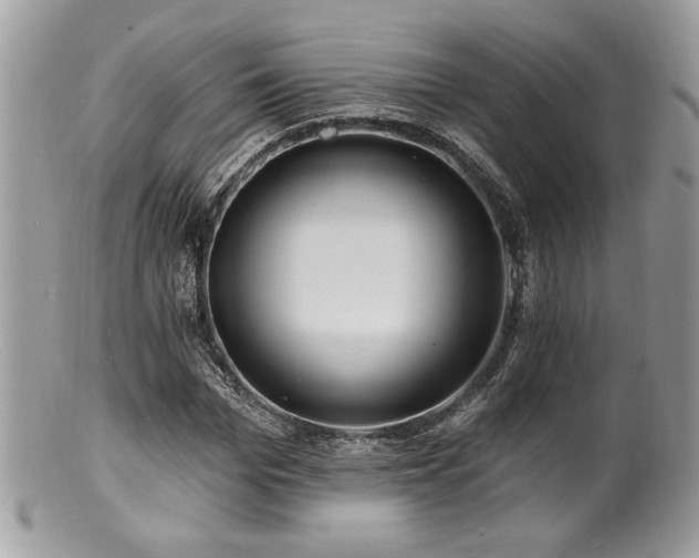 X0000100840969200806201147