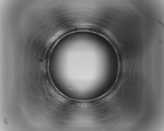 X0000100840970200806201147