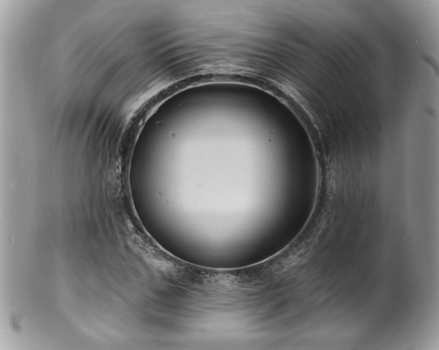 X0000100840971200806201147