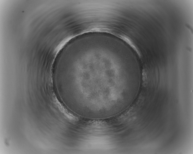 X0000100840972200806201147