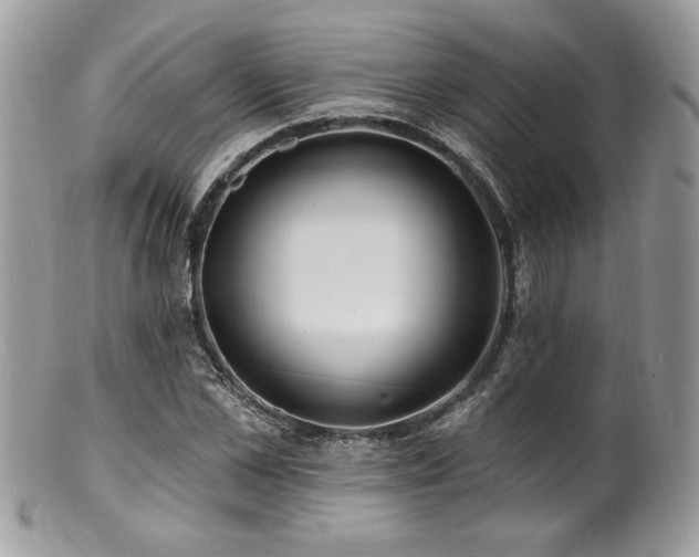 X0000100840973200806201147