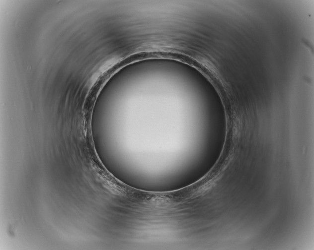 X0000100840974200806201147