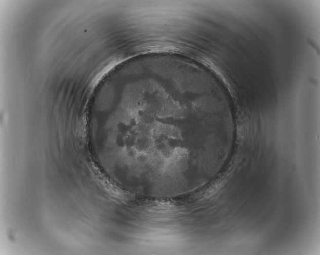 X0000100840975200806201147