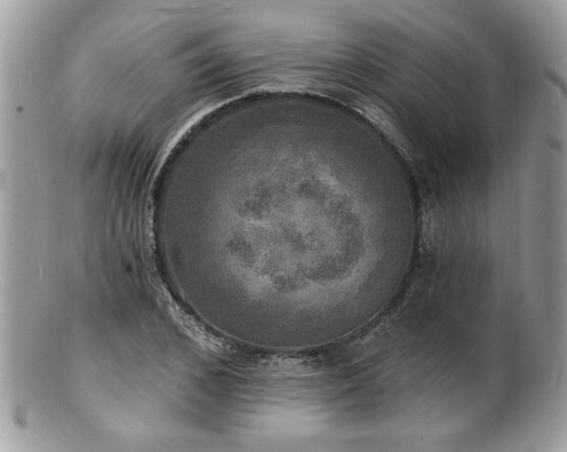 X0000100840976200806201147