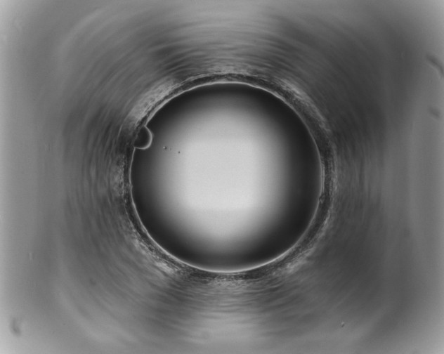 X0000100840977200806201147