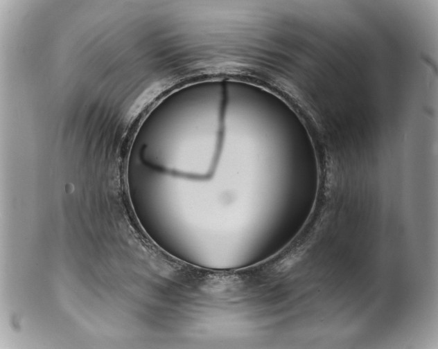 X0000100840978200806201147