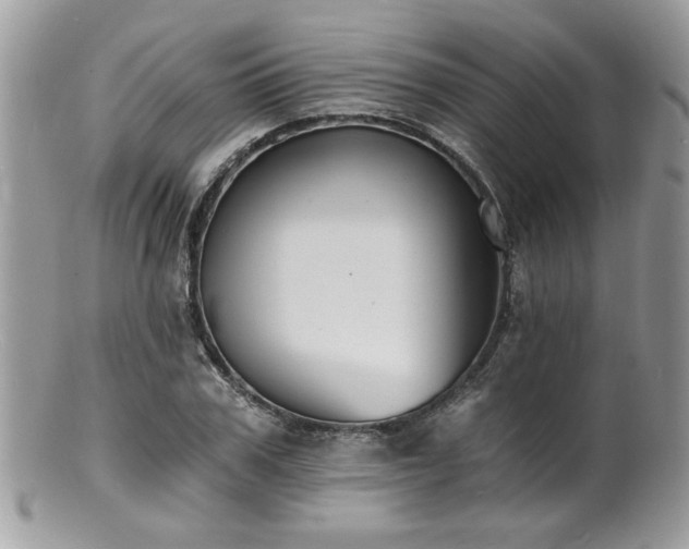 X0000100840979200806201147