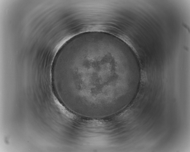 X0000100840980200806201147