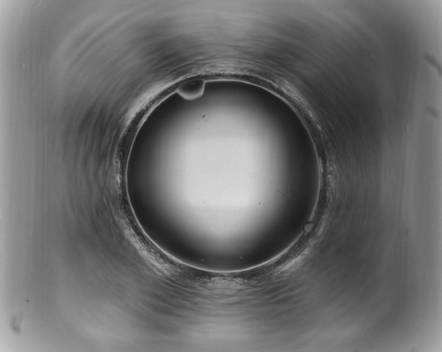 X0000100840981200806201147