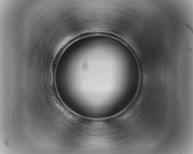 X0000100840982200806201147