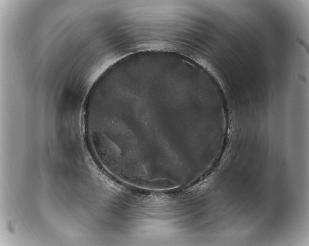 X0000100840983200806201147