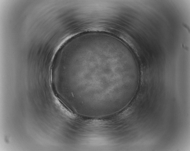 X0000100840984200806201147