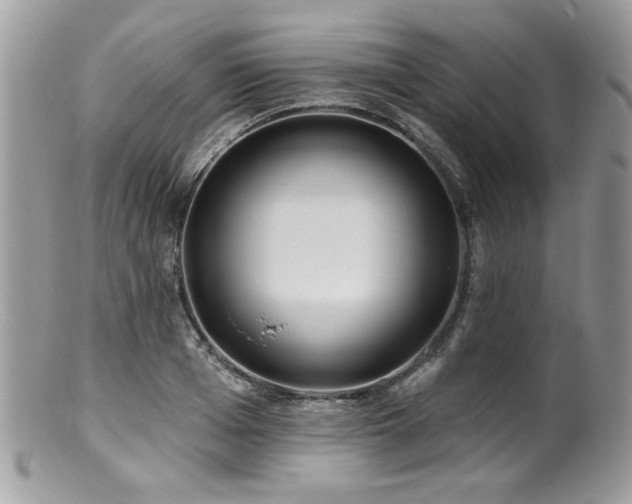 X0000100840985200806201147