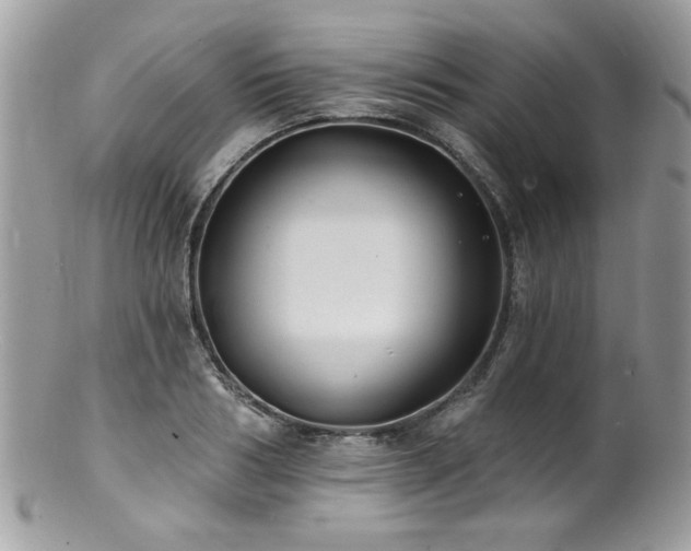 X0000100840986200806201147