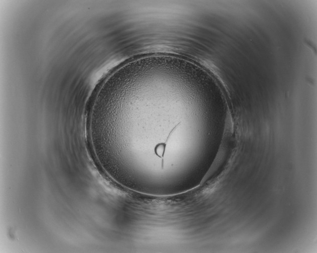 X0000100840987200806201147