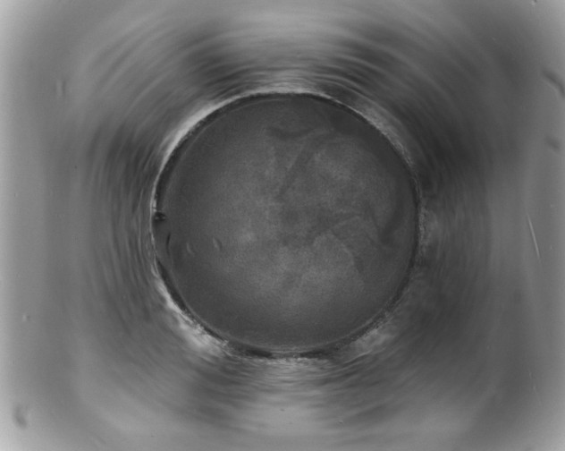 X0000100840988200806201146