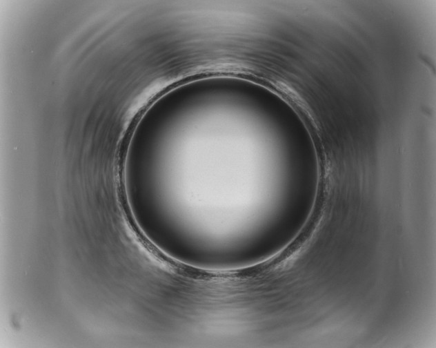 X0000100840989200806201146