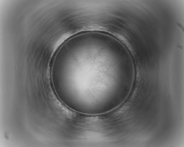 X0000100840990200806201146