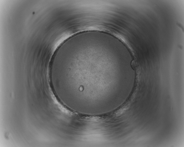 X0000100840991200806201146