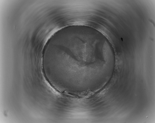 X0000100840992200806201146