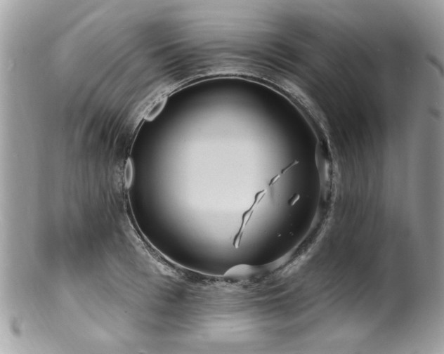 X0000100840993200806201146