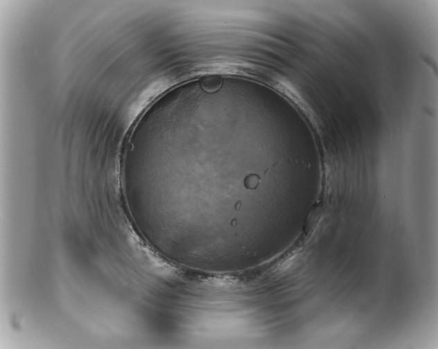 X0000100840994200806201146