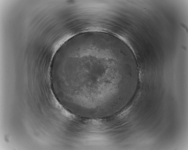 X0000100840995200806201146