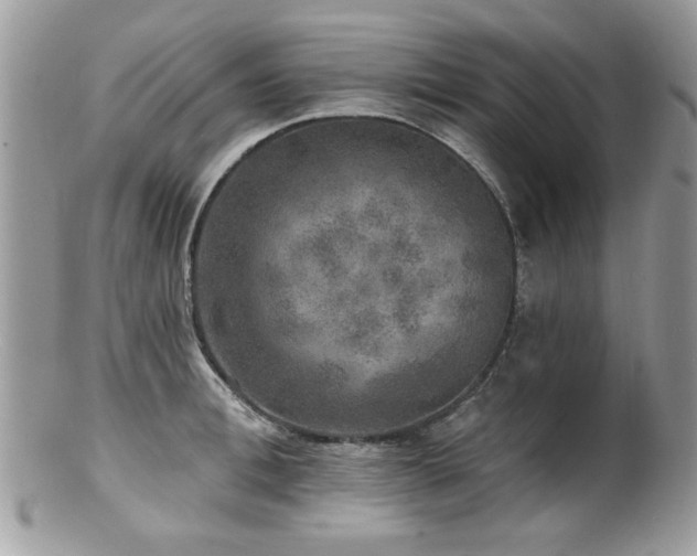 X0000100840996200806201146