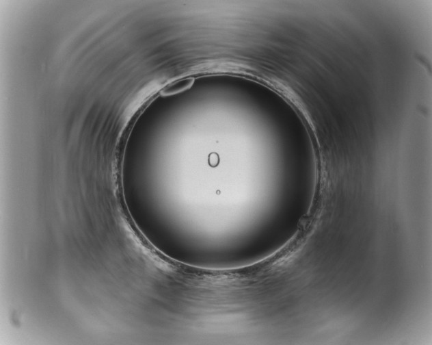 X0000100840997200806201146