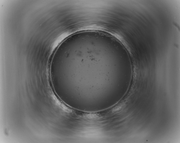 X0000100840998200806201146