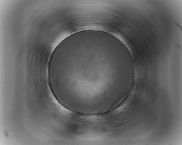 X0000100840999200806201146