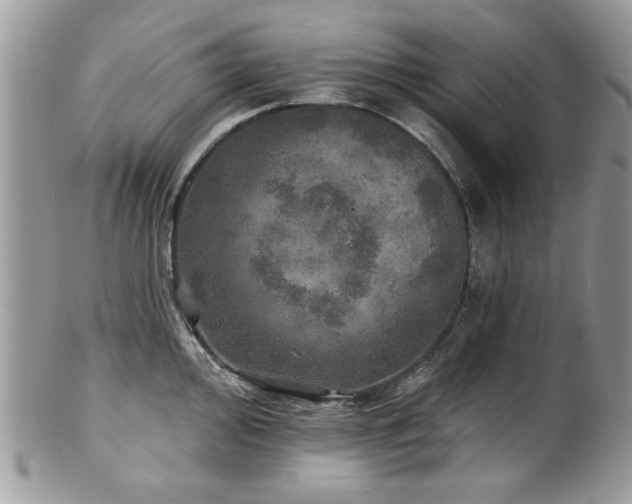 X0000100841000200806201146