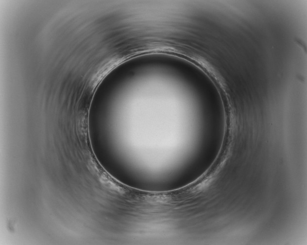 X0000100841001200806201146