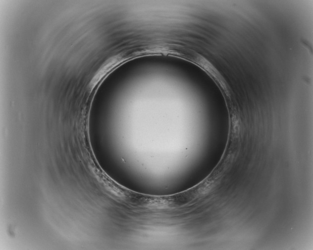 X0000100841002200806201146