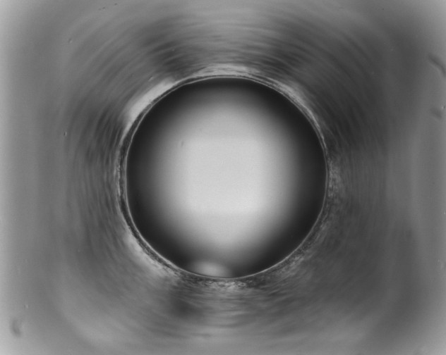 X0000100841003200806201146