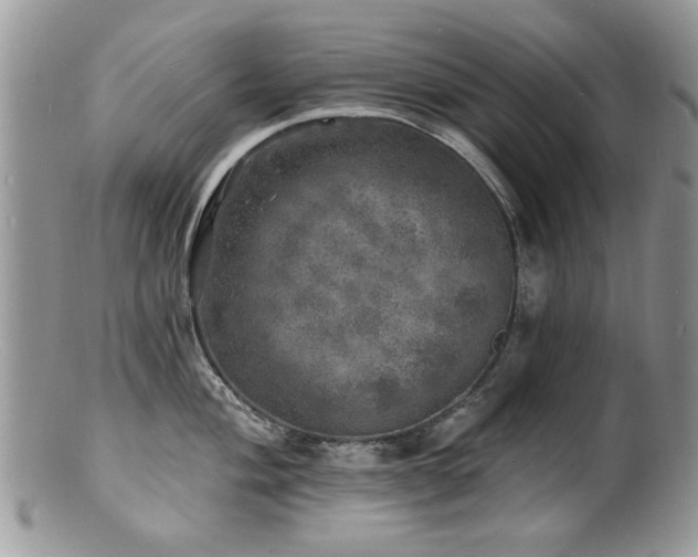 X0000100841004200806201146