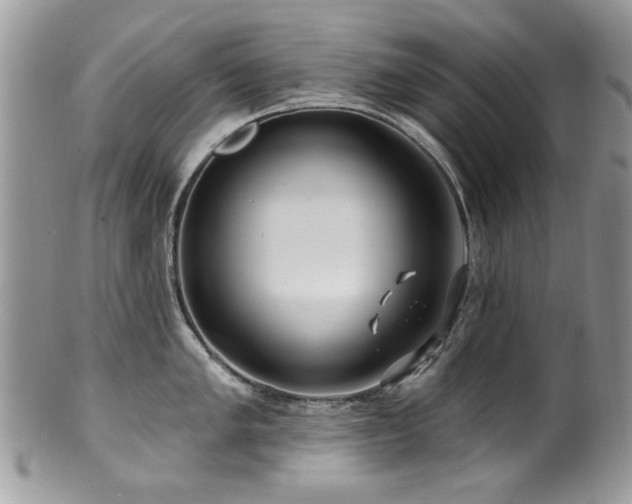 X0000100841005200806201146